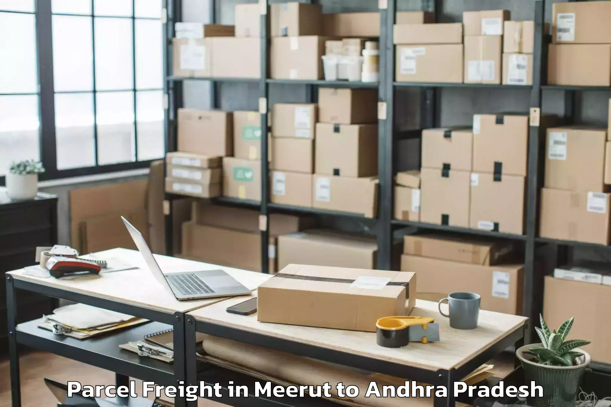 Trusted Meerut to Guduru Parcel Freight